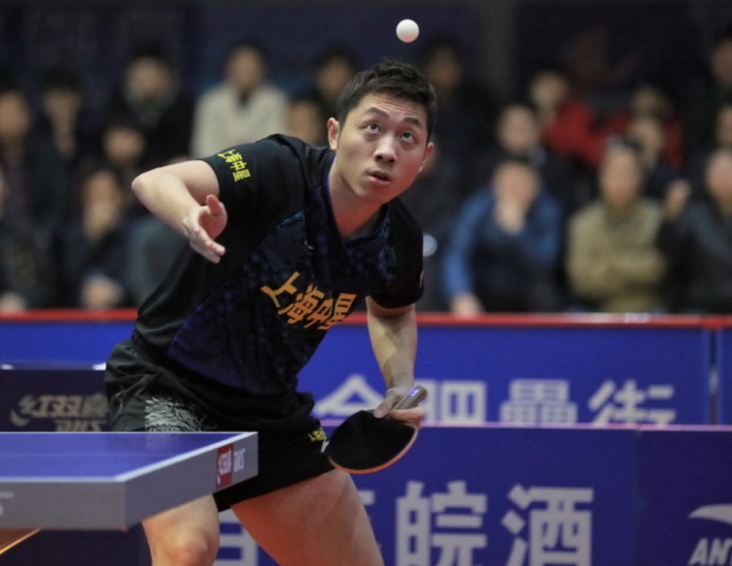 德国乒乓球队力克奥地利乒乓球队,许昕爆发神勇 德国乒乓球队力克奥地利乒乓球队,许昕爆发神勇