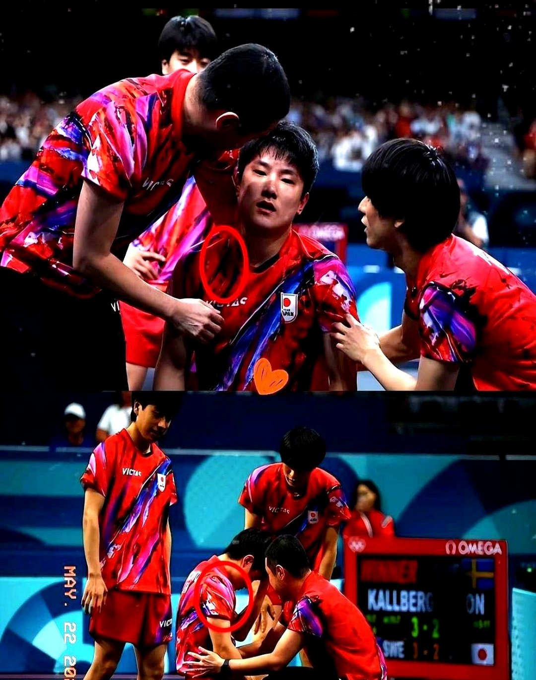 瑞典乒乓球队血洗韩国乒乓球队,张本智和关键制胜 瑞典乒乓球队血洗韩国乒乓球队,张本智和关键制胜