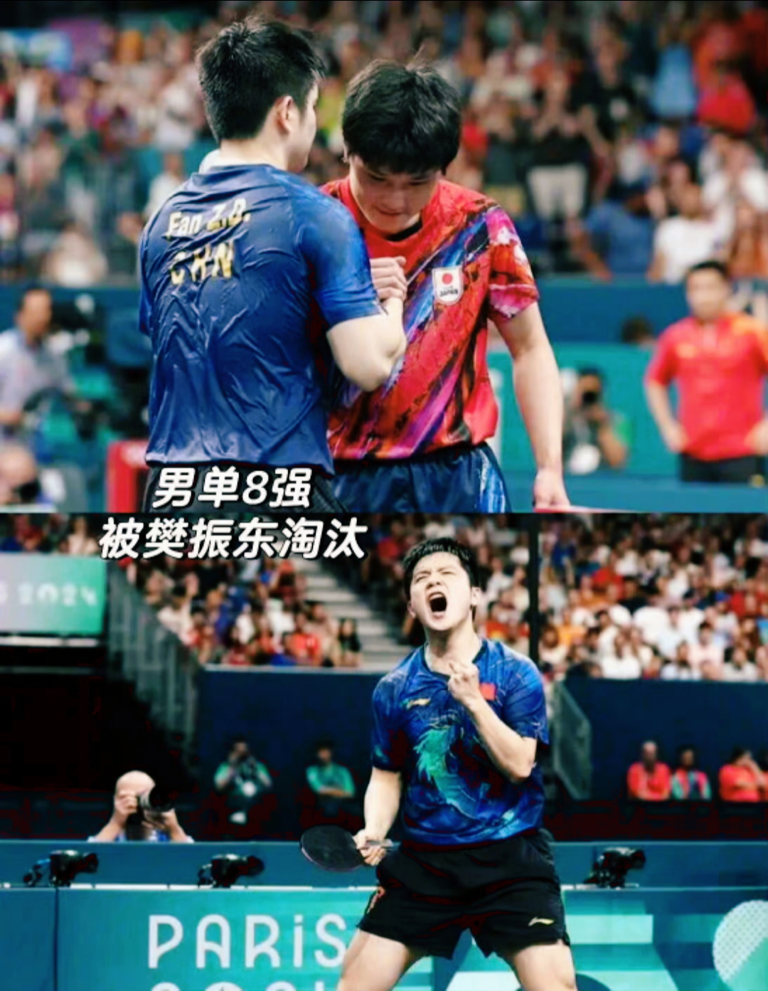 法国队轻取葡萄牙队,张本智和点燃赛场 法国队轻取葡萄牙队,张本智和点燃赛场