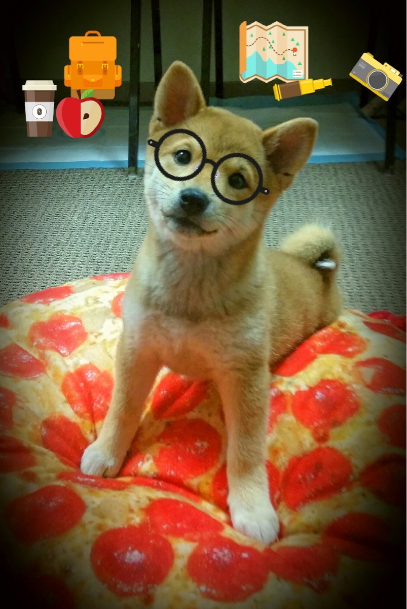 爱游戏娱乐-唯一性革命，皮亚斯特里绝境狙击，索伯如何用0.2秒颠覆红牛王朝？