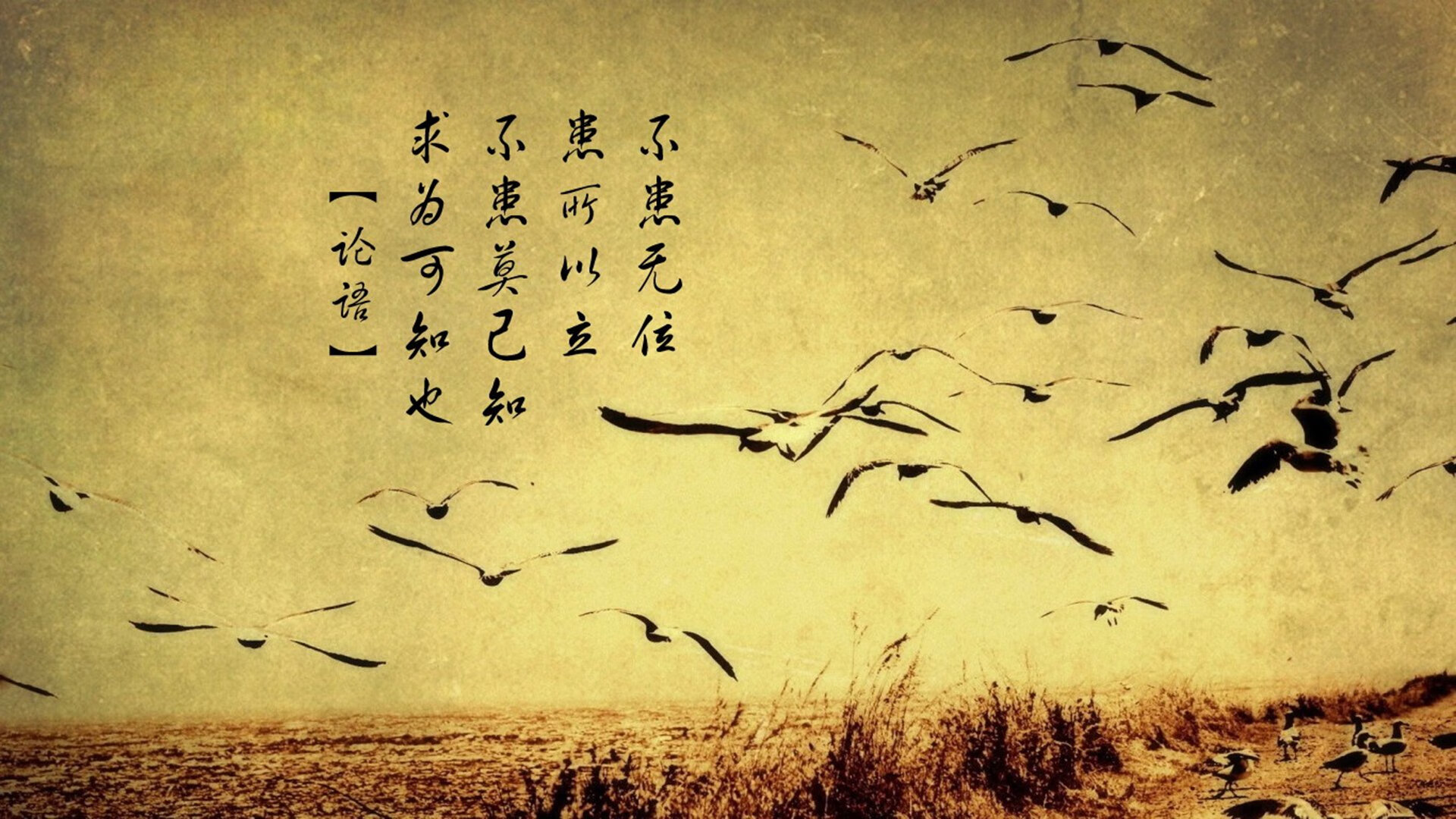 双线奏凯,泰国队轻取印尼展团队锋芒,戴资颖独舞赛场点燃热焰