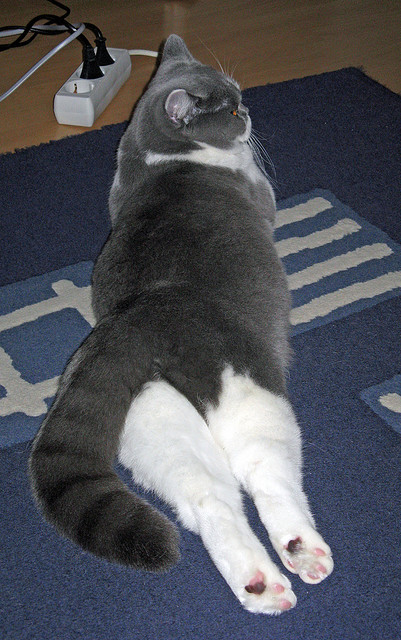 最后一把锁，马克西末节锁死对手，老鹰逆转广厦拿下关键战