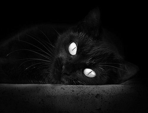 突尼斯阿劳霍,加时赛的冷血杀手