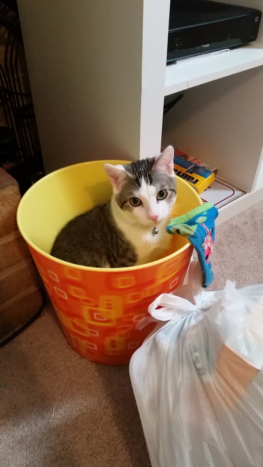 当F1引擎在巴林呼啸，哈弗茨的欧冠回忆正被唤醒