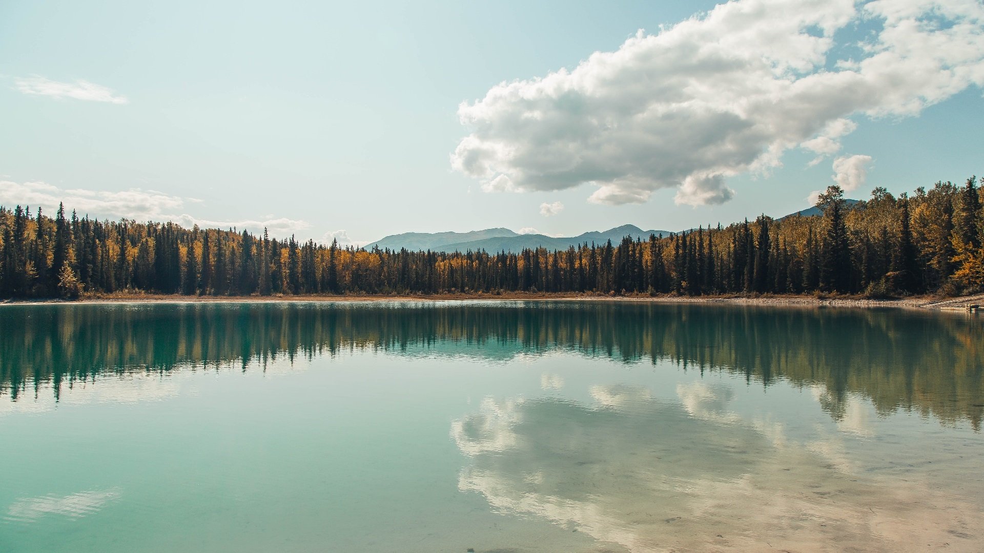 爱游戏在线-东方与西方的狂飙，当雄鹿统治球场，欧文在关键时刻降临