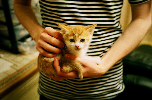 爱游戏在线-跨界焦点，意甲巅峰战与西班牙篮球单节统治伊朗的体育启示