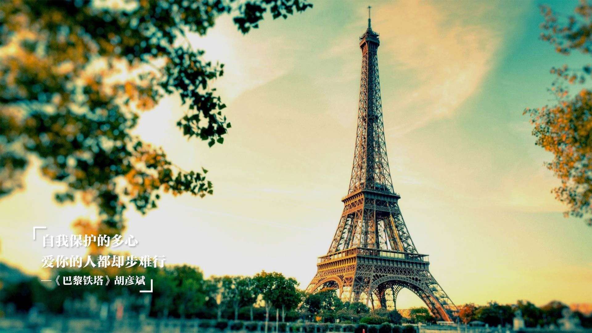 时空交错的篮筐，当塔图姆的幻影主宰上海滩决胜时刻