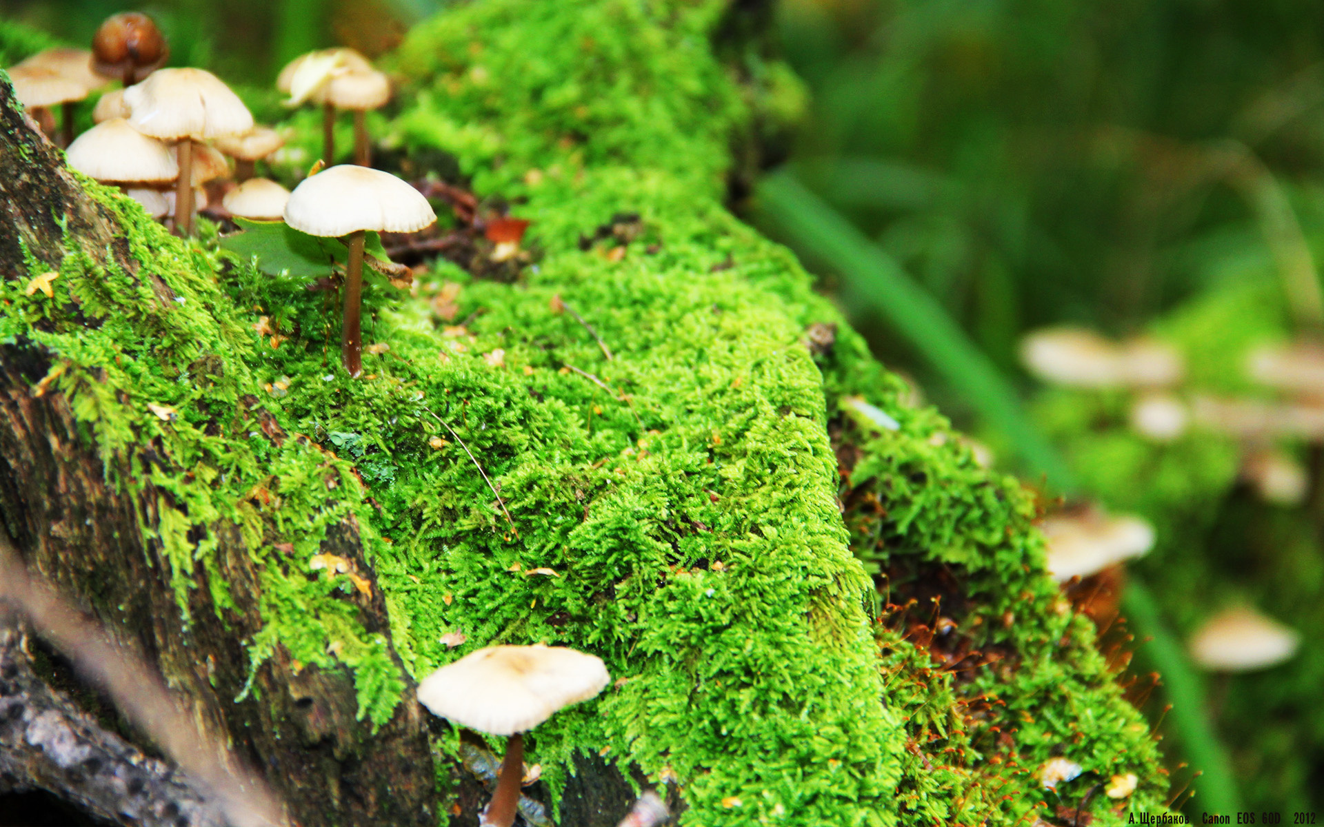 爱游戏官网-烛火破暗，当贝恩的燃烧照亮勇士对阵公牛的永恒之夜