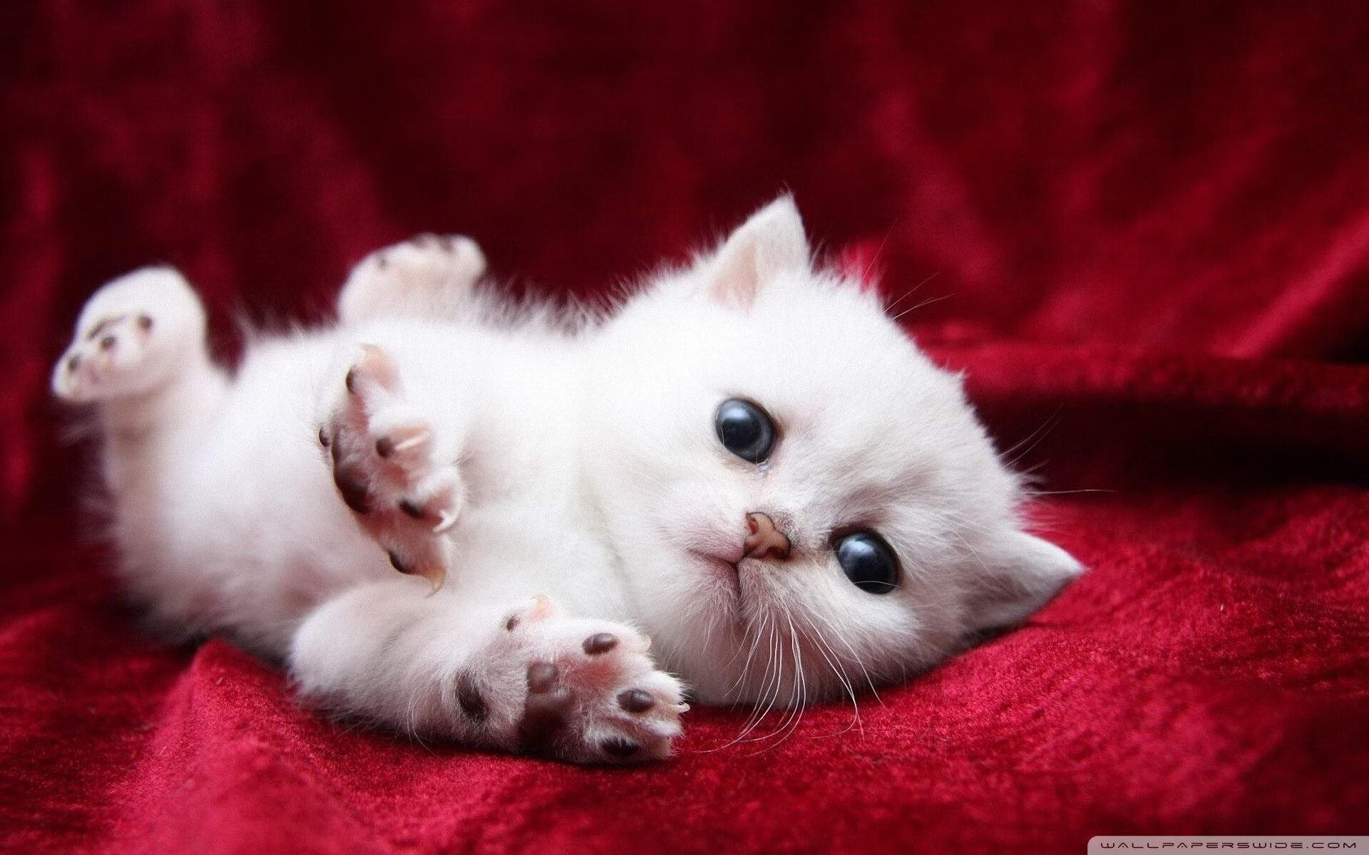 爱游戏官方-字母哥的标杆之战与独行侠的逆境突围