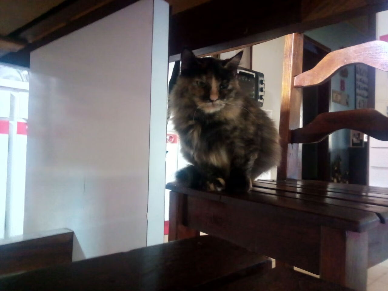 卡塔尔沙漠风暴，F1年度争冠焦点战，德国霸权遭遇滑铁卢