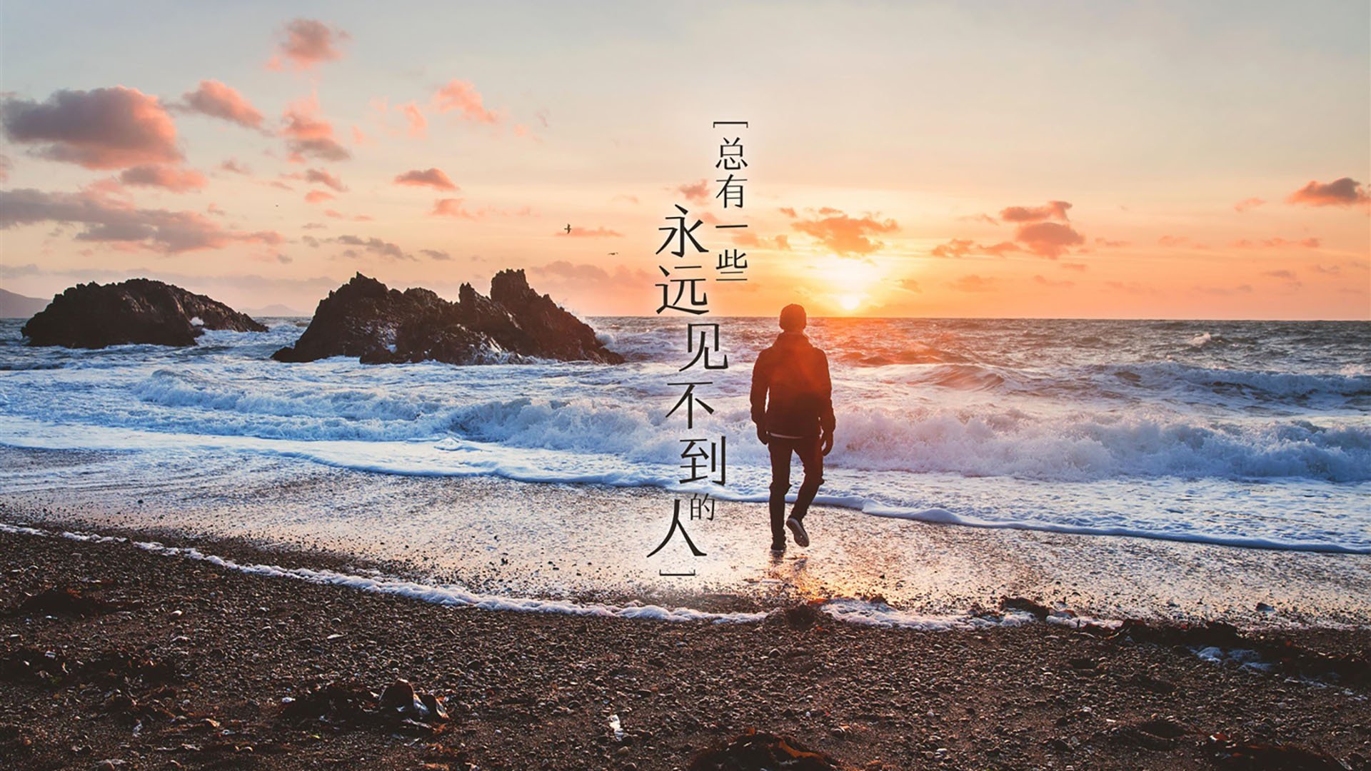 塔图姆一手掌控，灰熊对阵太阳的比赛走势解析