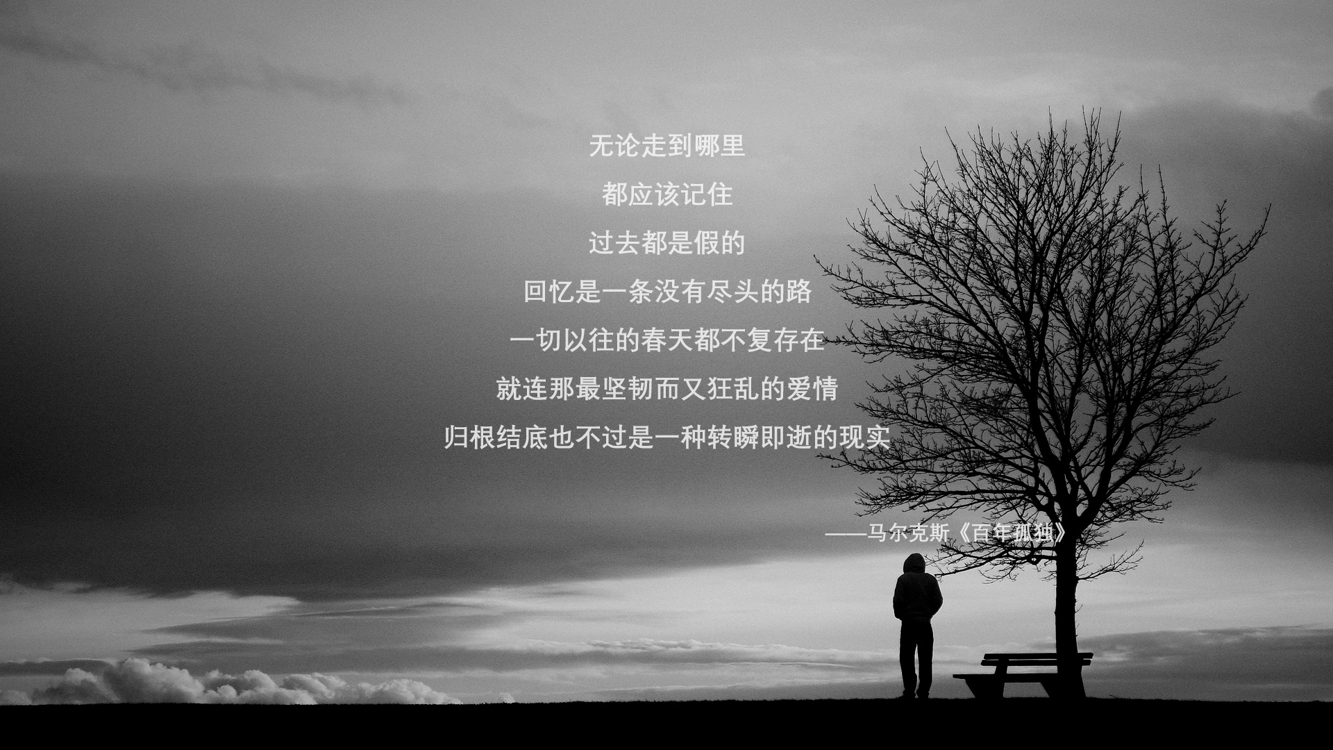 爱游戏入口-暗夜中的光，2026世界杯D组，厄瓜多尔绝杀葡萄牙，福登的孤独光芒照亮了一个时代的黄昏