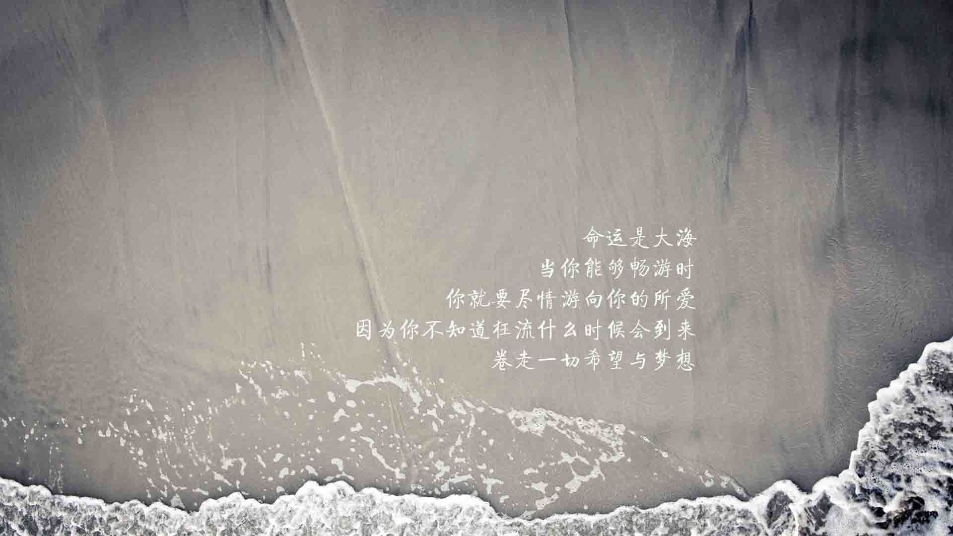 奇迹之夜，2026世界杯G组焦点战，印度2-1力克挪威，苏亚雷斯用智慧书写传奇