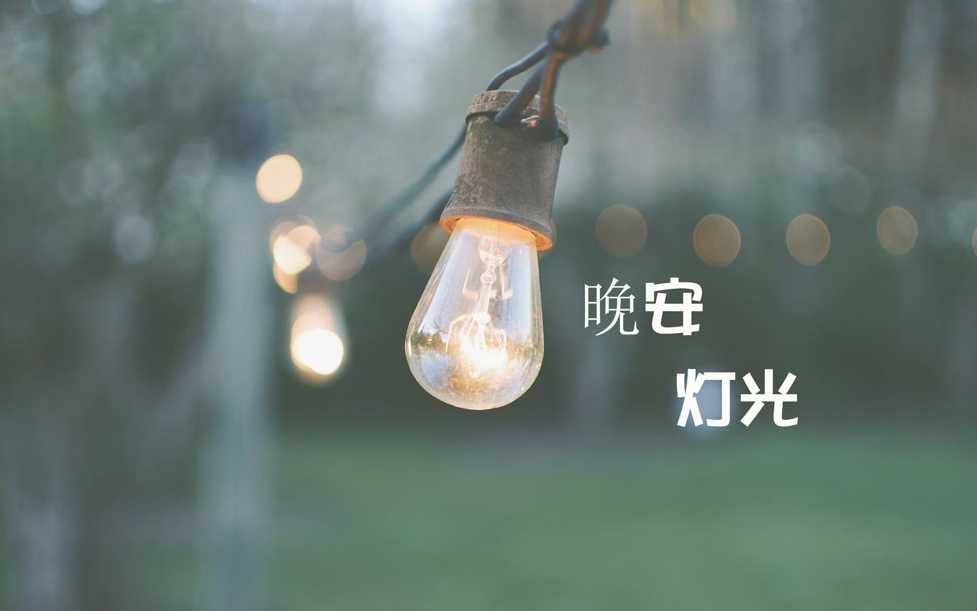 唯一性的瞬间,布罗佐维奇的致命一击,巴西横扫斯洛伐克背后的防守哲学
